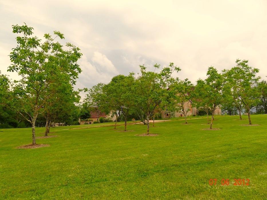 Mas Del Lum Bed and Breakfast Boussac  Esterno foto