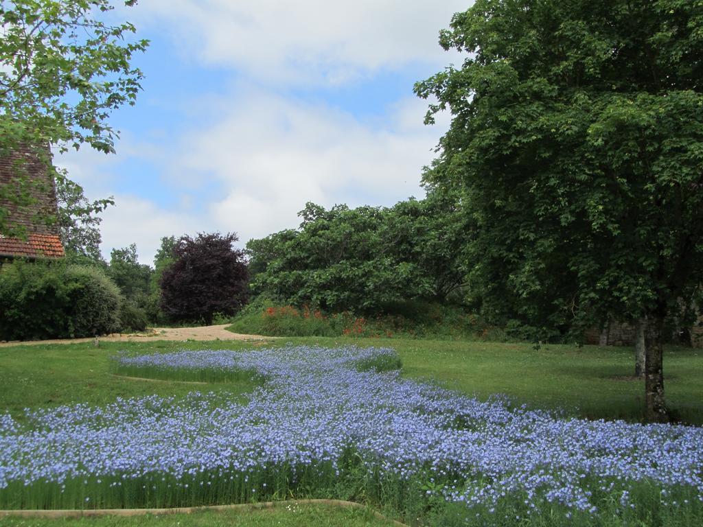 Mas Del Lum Bed and Breakfast Boussac  Esterno foto